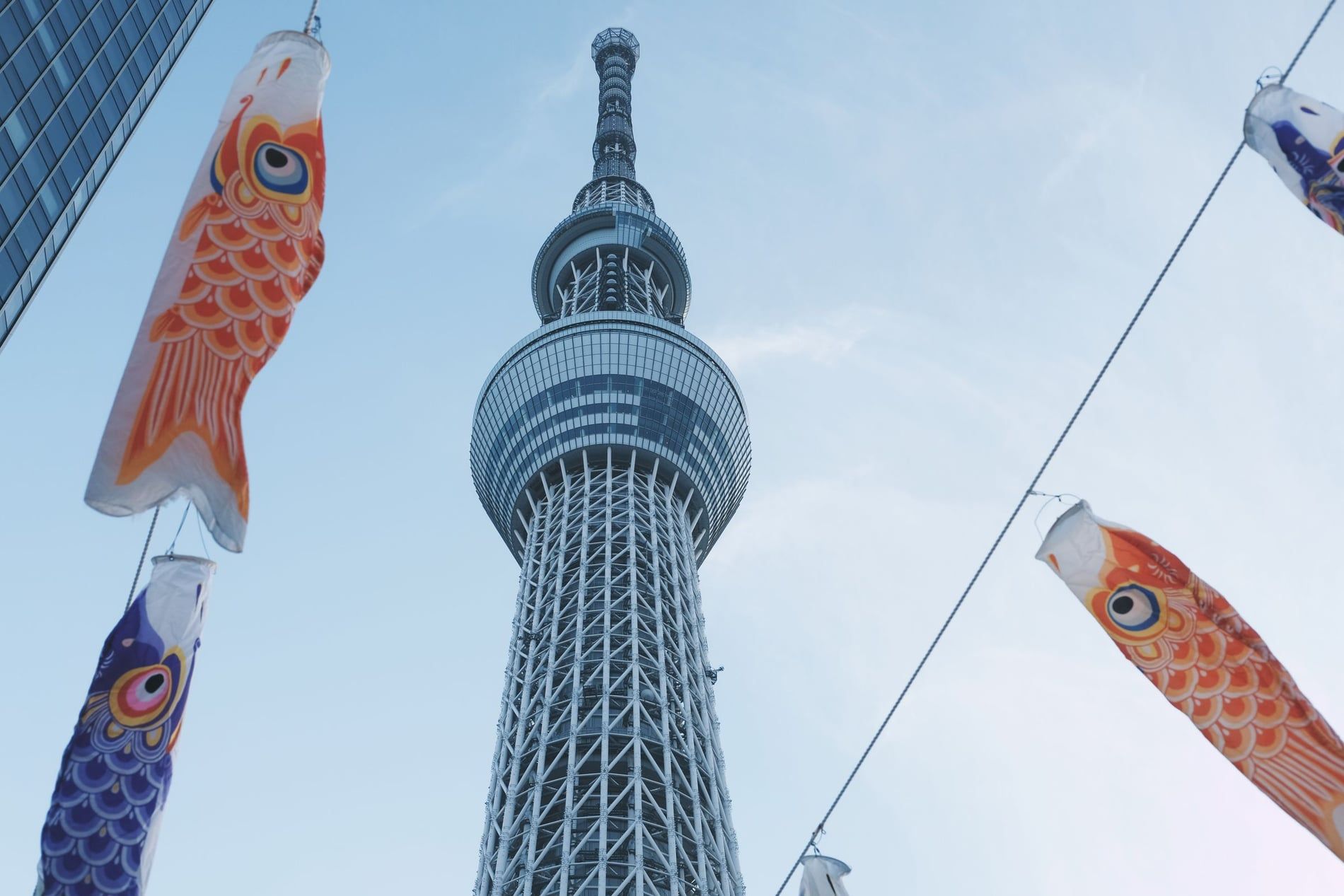 Carrefour de Shibuya illuminé la nuit dans la mégapole de Tokyo