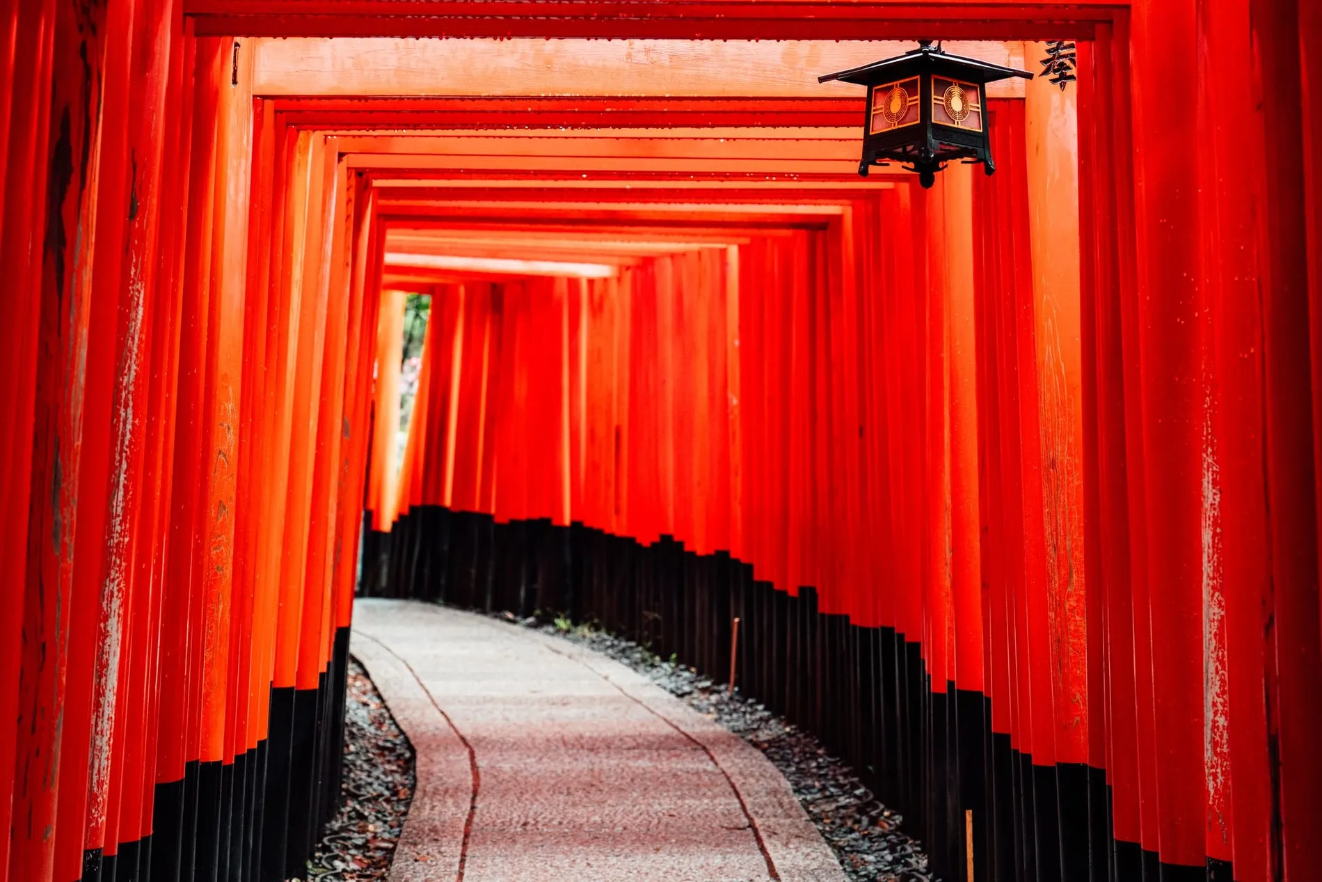Tunnel de torii vermillon au sanctuaire Fushimi Inari