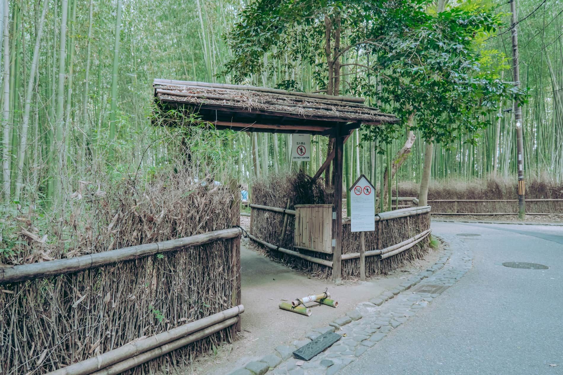 Sentier au cœur de la bambouseraie d'Arashiyama à Kyoto
