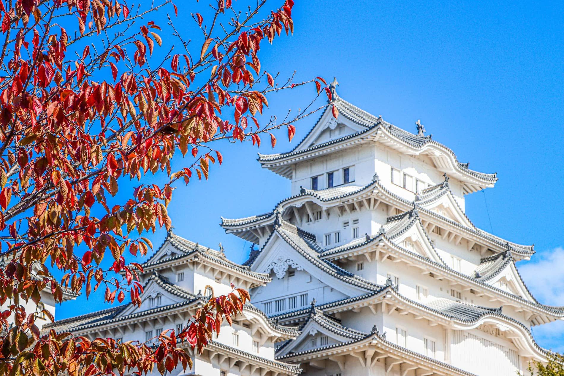 Paysage de temples et de collines dans la région du Kansai