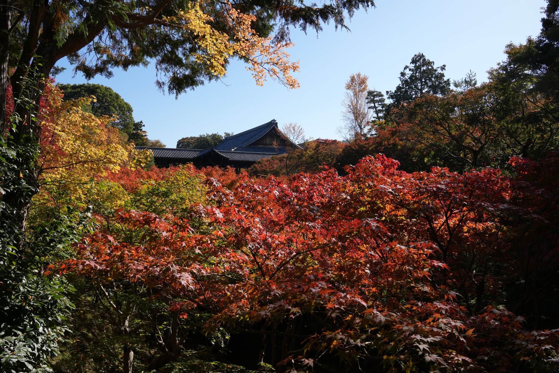 Pagode de Yasaka au coucher du soleil dans Higashiyama, Kyoto